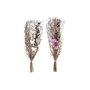 Branche DKD Home Decor Rose Marron Blanc Fleur séchée (2 Unités) (30 x 30 x 65 cm)