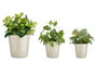 Ibergarden Set de 3 Pots Céramique Conique 14-17-22 cm Gris - Lot de Jardinières en Argile