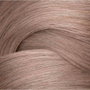 Redken Shades EQ ALK 9V