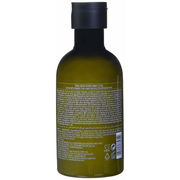 The Body Shop après-shampooing au gingembre 250 ml The Body Shop après-shampooing au gingembre 250 ml