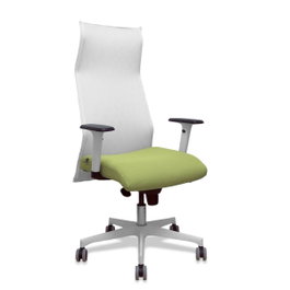 Piqueras y Crespo Chaise de Bureau Exécutive avec Mécanisme Synchro, Vert Olive et Blanc