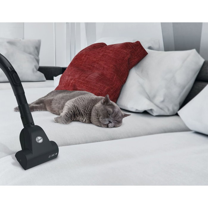 Hoover Telios Extra TXL21PET Gris ardoise