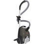 Hoover Telios Extra TXL21PET Gris ardoise