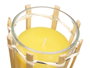 IBERGARDEN Torche Bougie Citronnelle