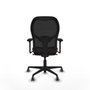 Piqueras y Crespo Chaise de Bureau Jorquera 3D036G0 Noir Brun foncé