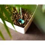Artevasi - Hydrum Système d'arrosage automatique - Réservoir 1L pour pots Ø28 cm et jardinières Ø50 cm - Usage intérieur/extérieur