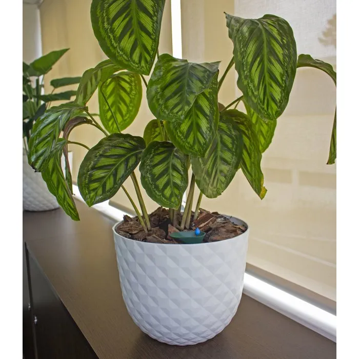 Artevasi - Hydrum Système d'arrosage automatique - Réservoir 1L pour pots Ø28 cm et jardinières Ø50 cm - Usage intérieur/extérieur