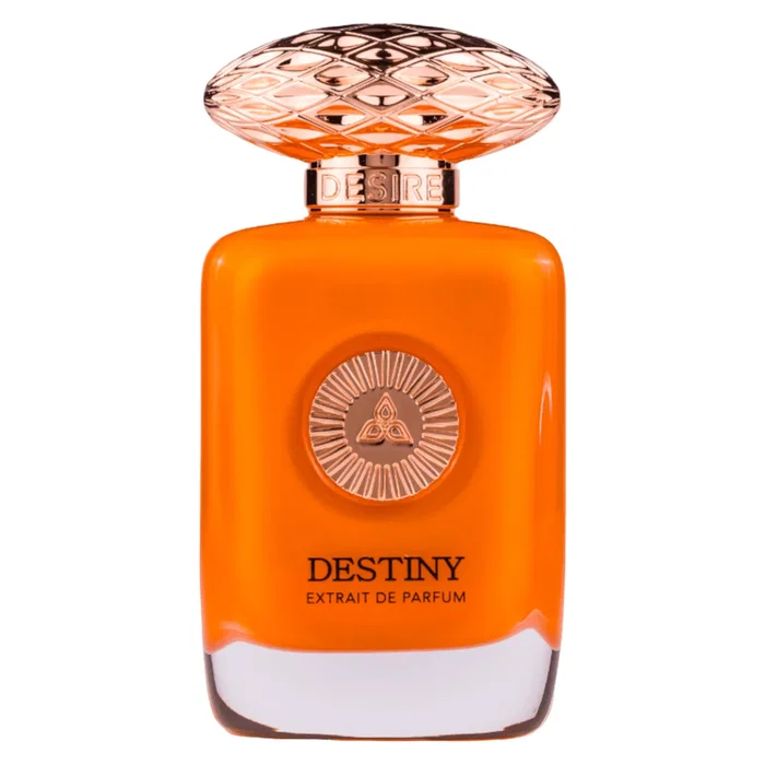 Auraa Desire Destiny Extrait de parfum pour hommes 100 ml