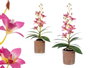 Ibergarden Pot en terre cuite rose clair, 10x50x25 cm, plastique, métal et ciment (Set de 6)