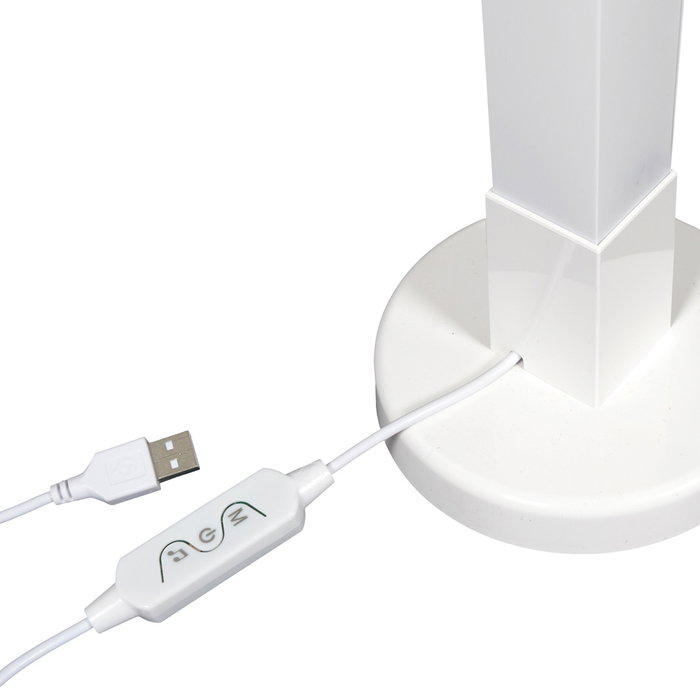 Home Deco Factory Tube LED 150 cm avec Télécommande