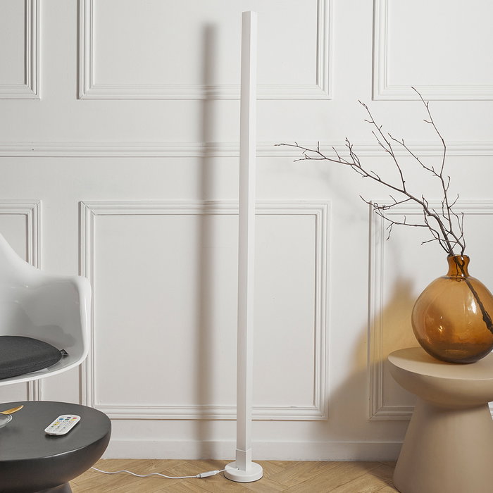 Home Deco Factory Tube LED 150 cm avec Télécommande