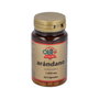 OBIRE Arándano 1000 mg 60 capsules