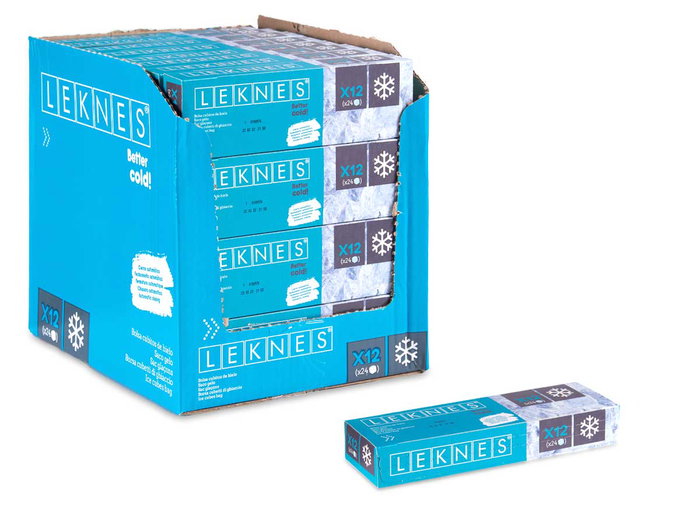 Leknes Sac 24 Glaçons 12 Unités 20x6x3 cm Polyéthylène Alimentaire Bleu Translucide (Set de 32)