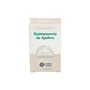 Forza Vitale Quintessenza di Santoreggia 10 ml