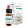 Forza Vitale Quintessenza di Santoreggia 10 ml