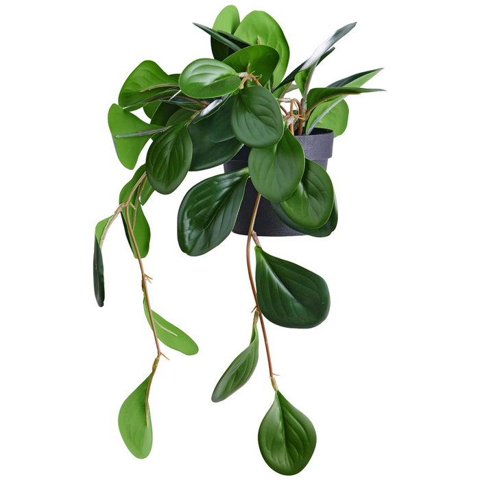 Day Plante artificielle Peperomia Day Plante artificielle Peperomia