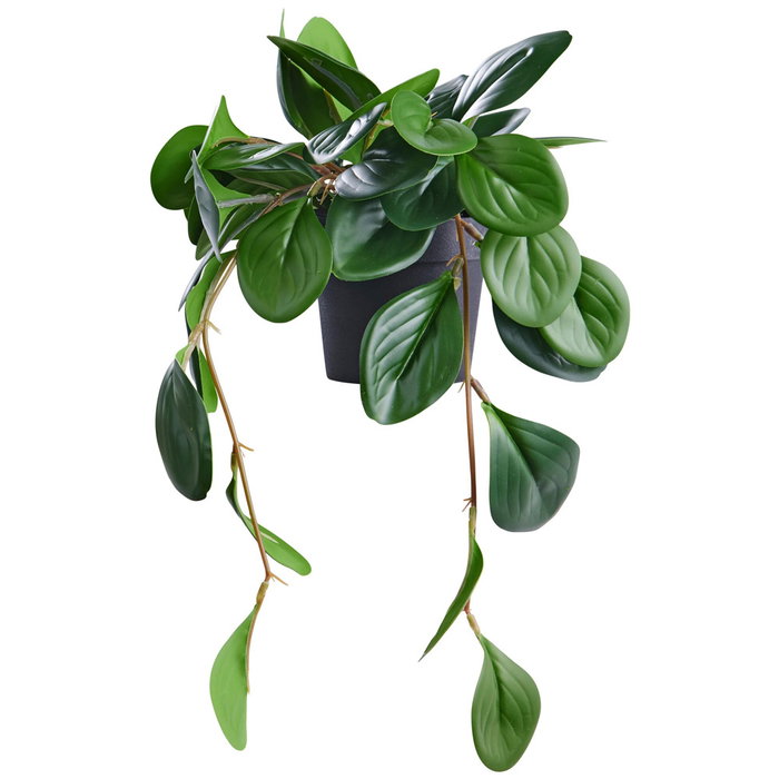 Day Plante artificielle Peperomia Day Plante artificielle Peperomia