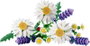 LEGO Botanicals Marguerites 11508