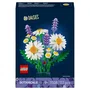 LEGO 11508 Set Botanicals Marguerites - Bouquet Artificiel avec Lavande et Coccinelle, Jeu de Construction Fleurs pour Enfants 9 Ans et Plus
