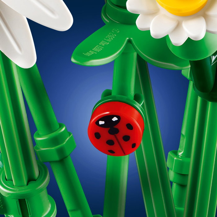 LEGO Botanicals Marguerites 11508, Bouquet de Fleurs Artificiel avec Lavande et Coccinelle LEGO Botanicals Marguerites 11508, Bouquet de Fleurs Artificiel avec Lavande et Coccinelle