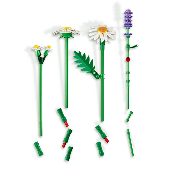 LEGO Botanicals Marguerites 11508, Bouquet de Fleurs Artificiel avec Lavande et Coccinelle LEGO Botanicals Marguerites 11508, Bouquet de Fleurs Artificiel avec Lavande et Coccinelle