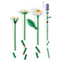 LEGO Botanicals Marguerites 11508, Bouquet de Fleurs Artificiel avec Lavande et Coccinelle