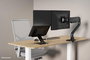 Neomounts DS20-740BL1 Support Universel Pilote pour Ordinateur Portable Portable Noir - Hauteur Réglable 1.7 à 16.8 cm, Compatible 11 à 15 Pouces, Jusqu'à 5 kg