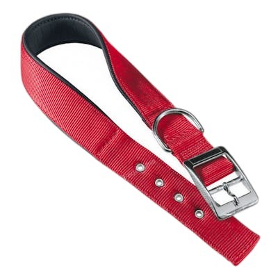 Ferplast Vet Collier en Nylon Daytona Rouge 20-43 cm Ferplast Vet Collier en Nylon Daytona Rouge 20-43 cm