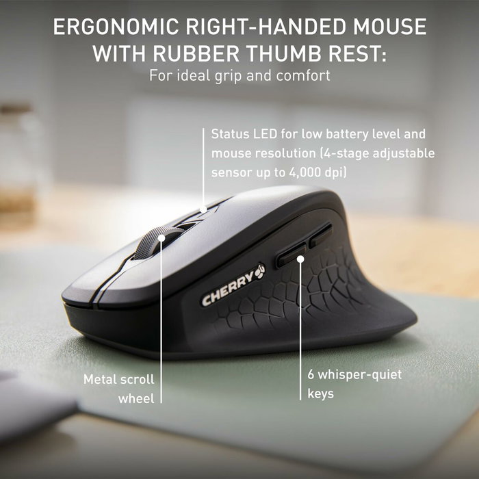 Cherry Stream Desktop Comfort Clavier et Souris sans fil 2,4 GHz Noir AZERTY
