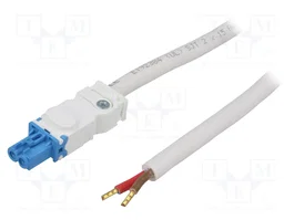STEGO Câble d'alimentation pour connexion en cascade 24÷48VDC 2m