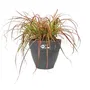 Elho Vibia Campana Pot de fleurs rond pour exterieur, Noir, 100% recycle, Diametre 55 cm x Hauteur 47 cm