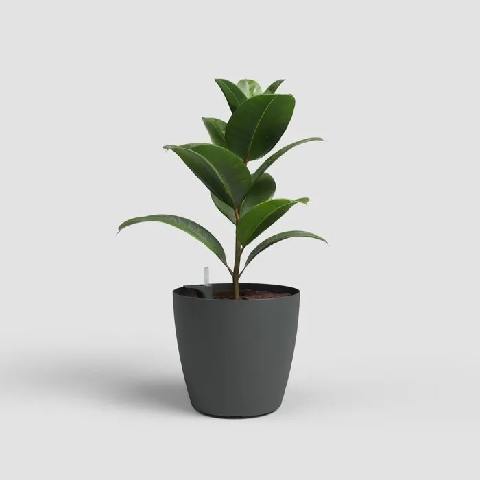 Artevasi San Remo SWS 36 MA - Pot de fleurs avec pieds - Intérieur/extérieur - Plastique résistant UV - 25 L - Ø36 x H33.5 cm - Gris anthracite
