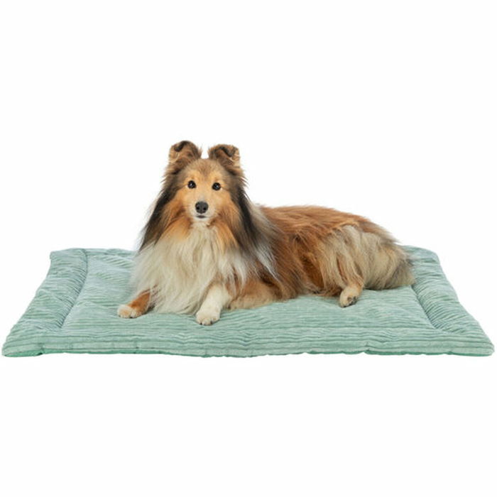 Matelas Trixie Jonna Vert 90 × 65 CM