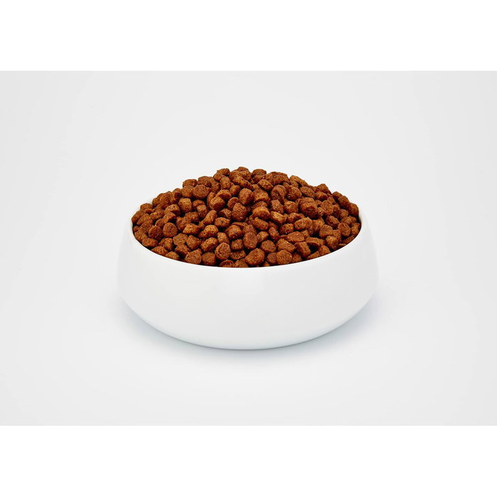 BOSCH ADULT Aliments pour chat Poulet et Oiseaux 10 kg BOSCH ADULT Aliments pour chat Poulet et Oiseaux 10 kg