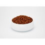 BOSCH ADULT Aliments pour chat Poulet et Oiseaux 10 kg