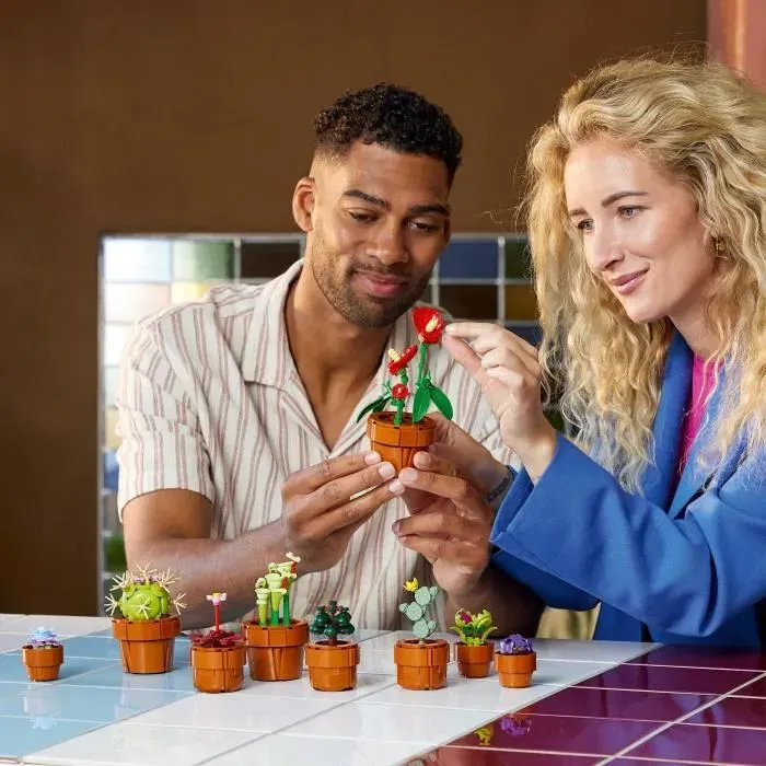 LEGO Icons 10329 Les Plantes Miniatures, Collection Botanique 9 Plantes Artificielles avec Fleurs - Décoration d'Intérieur pour Adultes LEGO Icons 10329 Les Plantes Miniatures, Collection Botanique 9 Plantes Artificielles avec Fleurs - Décoration d'Intérieur pour Adultes