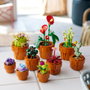 LEGO Icons Les Plantes Miniatures, Collection Botanique 9 Plantes Artificielles