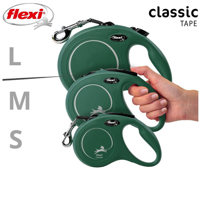 Laisse pour Chien Flexi Vert S