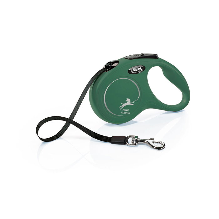 Laisse pour Chien Flexi Vert S