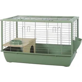 Zolux Cage à Rongeurs NéoLife Connect 80 x 52.5 x 48 cm pour Cochon d'Inde - Modulable, Verte avec Niche et Accessoires