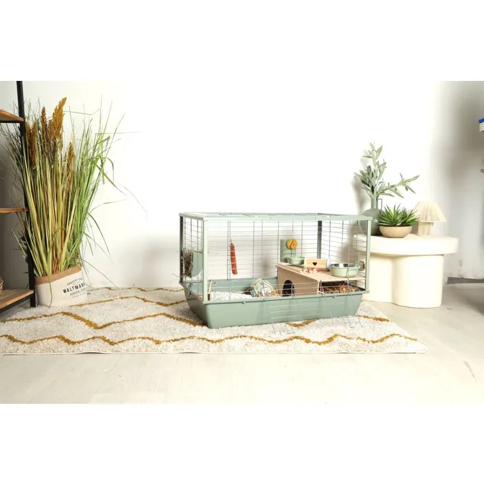 Zolux Cage à Rongeurs NéoLife Connect 80 x 52.5 x 48 cm pour Cochon d'Inde - Modulable, Verte avec Niche et Accessoires