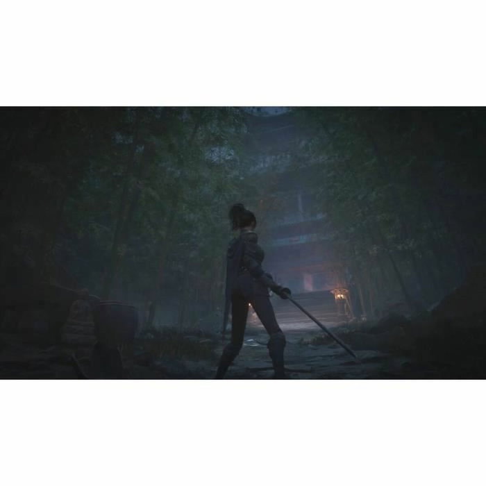 Just For Games WUCHANG : Fallen Feathers - Day One Edition - PS5