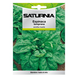 SATURNIA Graines d'Épinard Précoce (8g)