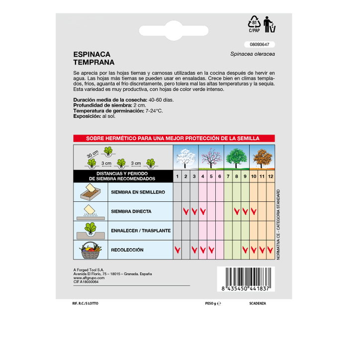 SATURNIA Graines d'Épinard Précoce (8g)