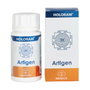 Equisalud Holoram Artigen 60 capsules de 560 mg