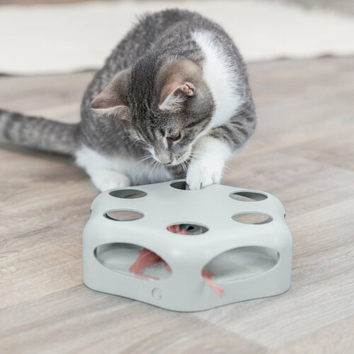 Jouet pour chats Trixie Gris Plastique Ø 22 cm