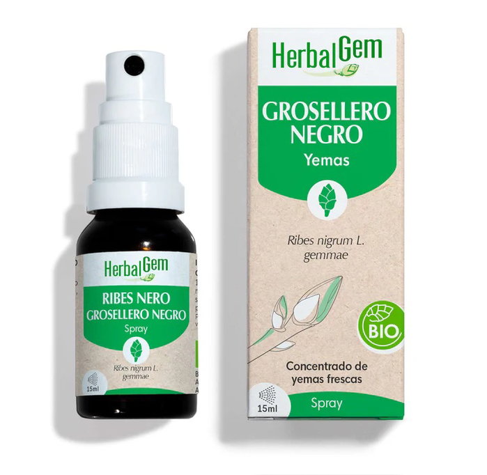 HERBALGEM GROSELLERO NEGRO spray 15 ml BIO HERBALGEM GROSELLERO NEGRO spray 15 ml BIO