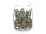 Ibergarden Pot en Cristal avec Lavande 12 x 17 x 12 cm (Set de 12)