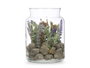 Ibergarden Pot en Cristal avec Lavande 12 x 17 x 12 cm (Set de 12)