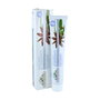 Corpore Sano Dentifrice Blanchissant 75 ml